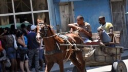 1800 Online con Inalkis Rodriguez Lora