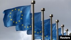 European Union Flags