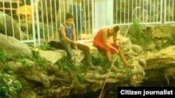 Reporta Cuba pesca en aguas contaminadas. Foto: Bárbara Fernández.