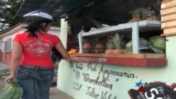 Crecen cuentapropistas en Cuba a pesar de acoso de inspectores y altos impuestos