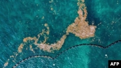 El mar Caribe, frente a Puerto Morelos, en el estado de Quintana Roo, México, el escenario de las operaciones de la Mafia Cubana.