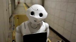 Los robots