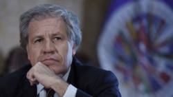 El secretario general de la Organización de Estados Americanos, Luis Almagro, manifestó que Cuba ha exportado su modelo de gobernación a otros países, como Venezuela y Nicaragua