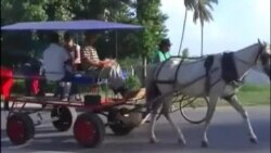 Cocheros en Cuba reciben elevadas multas