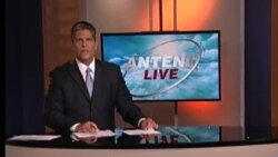 Antena Live