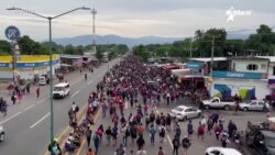 Info Martí | Aumenta caravana de migrantes que tiene como objetivo llegar a Estados Unidos
