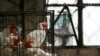 Una jaula con pollos en un mercado de La Habana. (Reuters/Claudia Daut/Archivo)