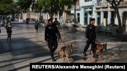 Boinas negras con perros recorren el Paseo del Prado en el aniversario del estallido del 11 de julio. (Archivo REUTERS/Alexandre Meneghini).
