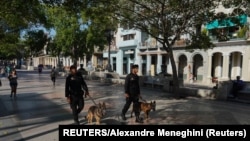 Boinas negras con perros recorren el Paseo del Prado, en La Habana, el 11 de julio de 2022.