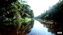 Caño Cayarú en el Amazonas colombiano.