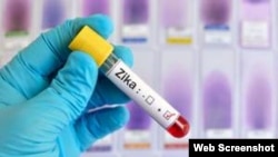 Investigaciones sobre el Virus del Zika.