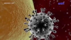 Carrera contra reloj para encontrar una solución a la crisis del Coronavirus