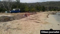 Reporta Cuba. Playa Cazonal.