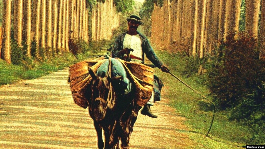 "Camino de palmeras", detalle de una foto tomada por William Henry Jackson (Estados Unidos,1843-1942) en La Habana de 1897. 