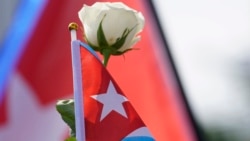 Un manifestante sostiene una bandera cubana y una rosa blanca, símbolo del #15NCuba. (AP/Wilfredo Lee)