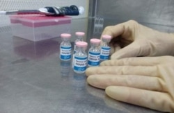 Otra imagen de la vacuna cubana del IFV, en una foto que el sitio Cubadebate atribuye a Gisela Rivero/Facebook.