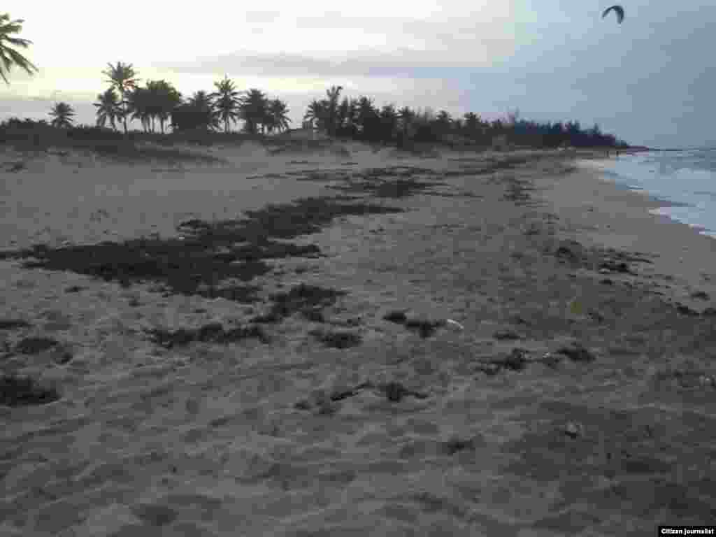 Reporta Cuba playas Habana Foto Miladis Carnel