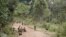 Soldados custodian el material de guerra de los 11 soldados muertos que dejó el ataque de la guerrilla de las FARC en el Cauca (15 de mayo, 2015).