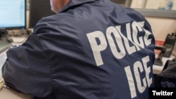 Un oficial de ICE monitorea una operación de la agencia. 