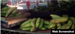 Reporta Cuba. Venta de frutas en mercados cubanos.