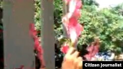 Reporta Cuba. Damas de Blanco, Santa Rita.