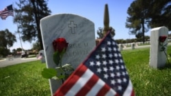 Hoy se conmemora en Estados Unidos el Día de los Veteranos