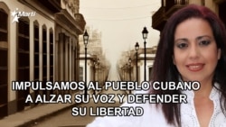 Yoel Díaz Hernández y Alcibiades Idelmaro Brizuela, Alianza Cívica Insurreccional, San Antonio de los Baños