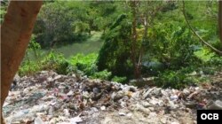 Los vecinos de La Caoba se quejan de que Comunales no dispone la recogida de basura en el lugar.