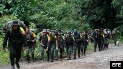 Guerrilleros de las FARC caminan hacia una de las zonas veredales en las montañas del Cauca, cerca del sector de Robles (Colombia). Jorge Torres Victoria, "Pablo Catatumbo", miembro del secretariado de las FARC, destacó el incumplimiento de parte del Gobi