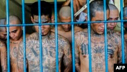 Pandilleros en la prisión de Izalco en San Salvador. (AFP Photo/Oficina de la Presidencia de El Salvador).