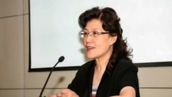 Cai Xia, profesora de la Escuela Central del PCCh.