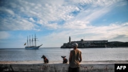 Un cubano en el Malecón observa la llegada de un buque español a la Bahía de La Habana.