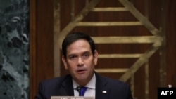 Marco Rubio, senador republicano por la Florida (Joe Raedle / AFP).