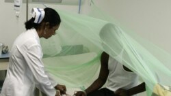 Podría aumentar incidencia de leptospirosis en Cuba