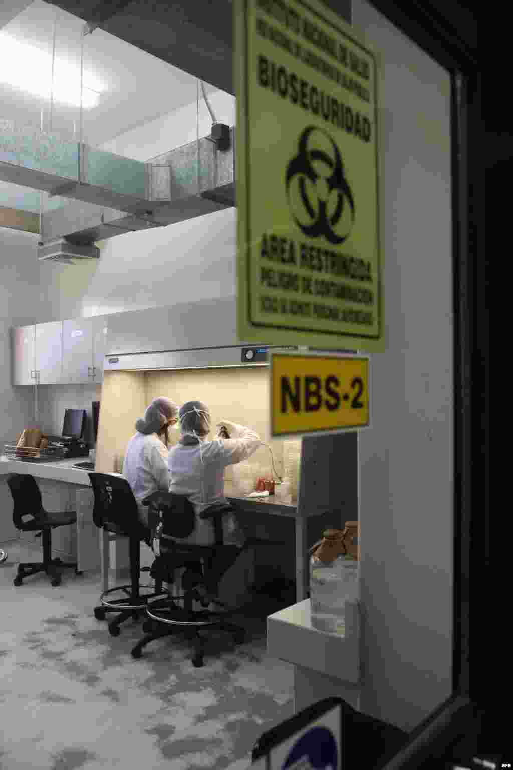 Una pareja de médicos del laboratorio de Metaxénicas virales del Ministerio de Salud de Perú trabaja con muestras para verificar las infecciones por dengue o fiebre amarilla. 