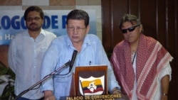 Las FARC piden despenalización del consumo de drogas.