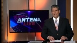 Antena Live
