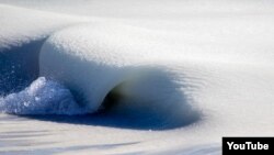 Olas congeladas y orangutanes médicos