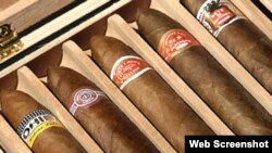 Muestra de Habanos, codicianos de tabacos de Cuba.