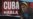 Banner 445