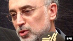 Fotografía de archivo del ministro de Asuntos Exteriores iraní, Alí Akbar Salehi. EFE/KHIDER ABBAS