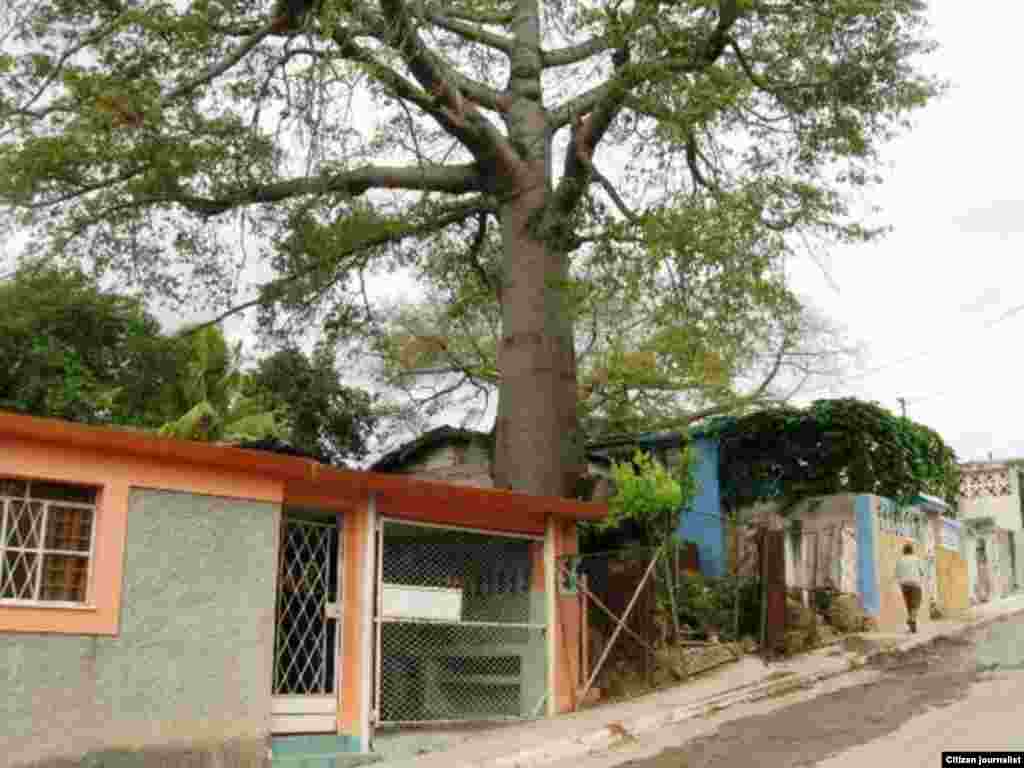 Periodista independiente reporta en twitter imágenes de la vida cotidiana en el barrio habanero de Marianao.