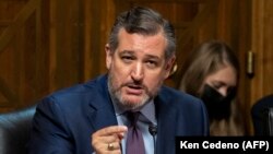Ted Cruz en el Senado de Estados Unidos el 21 de septiembre de 2021. (AFP/Ken Cedeno).