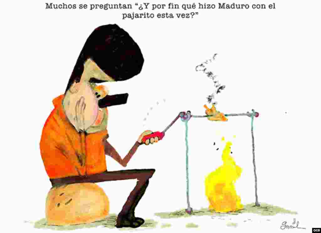 Garrincha's cartoon Maduro and Chavez bird