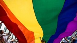 La historia y el simbolismo de la bandera gay y mucho más