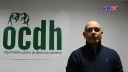 ONG pide a “Cubañoles” que voten No en referéndum constitucional en Cuba