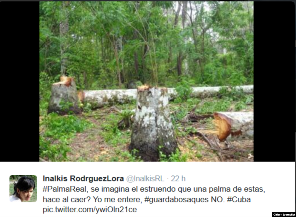 Inalkis Rodríguez en defensa de la naturaleza