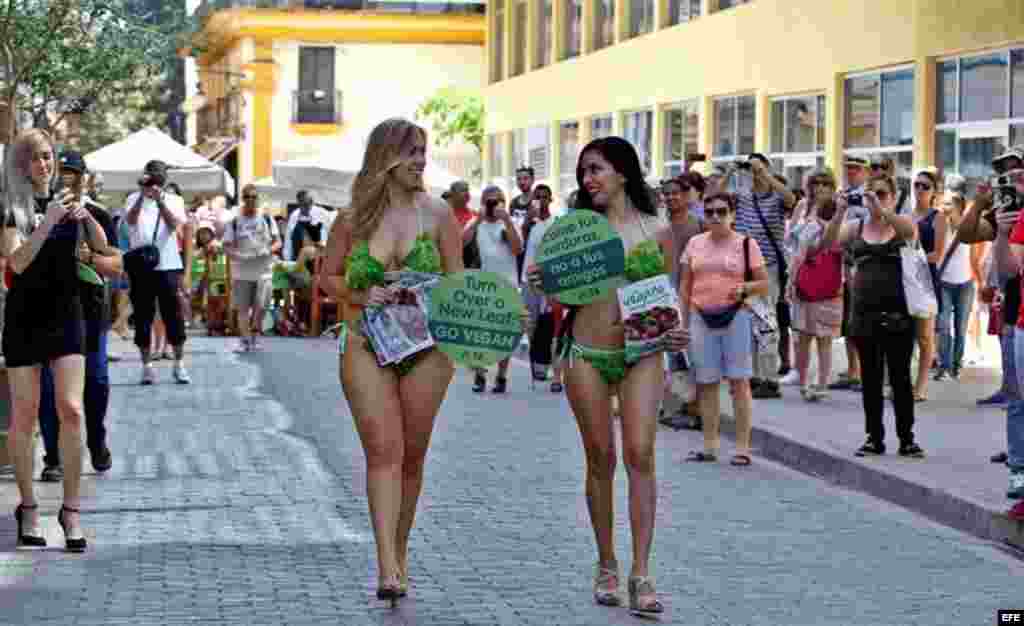 Mujeres pertenecientes a las &quot;Damas lechuga&quot;, de la ONG Personas por el Trato Ético de los Animales (PETA), caminan por las calles de La Habana como parte de su campaña que pide a los cubanos que no coman carne. &nbsp;