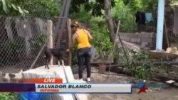 Crean en Cuba refugio para animales callejeros