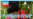 BANNER PERNALETE 22 JUL